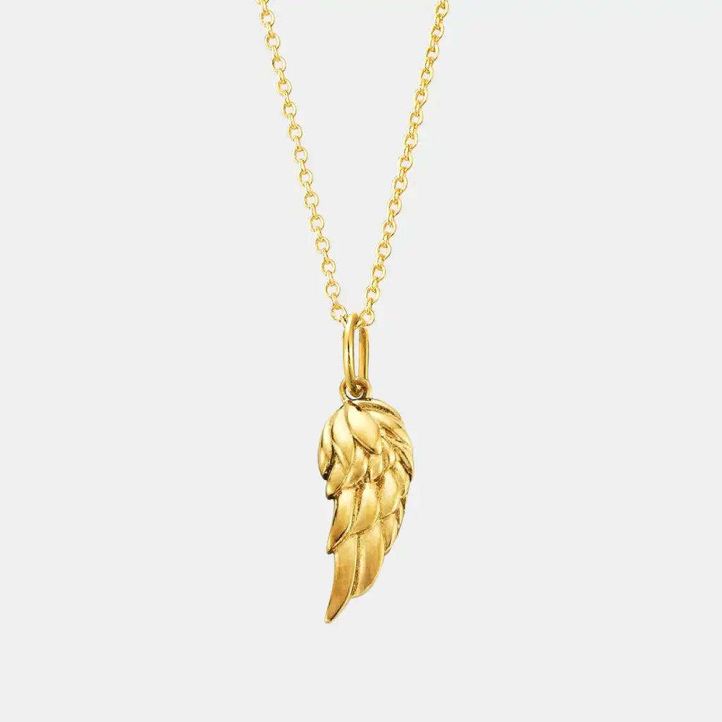 Colar Asa Ouro